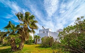Cretan Life Holidays